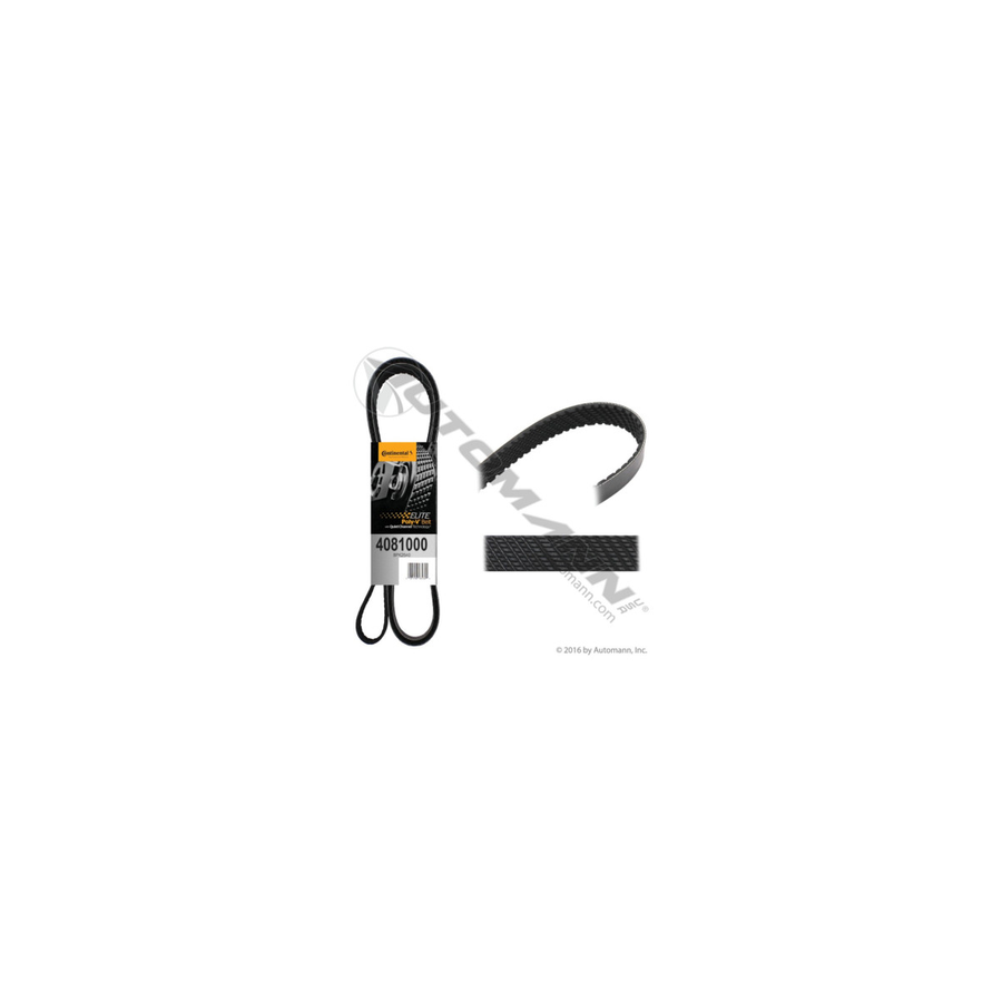 CONTINENTAL STANDARD REPLACEMENT BELT W/ A/C TO SUIT FORD F250 Super Duty 5.4L V8 (1999-2001)