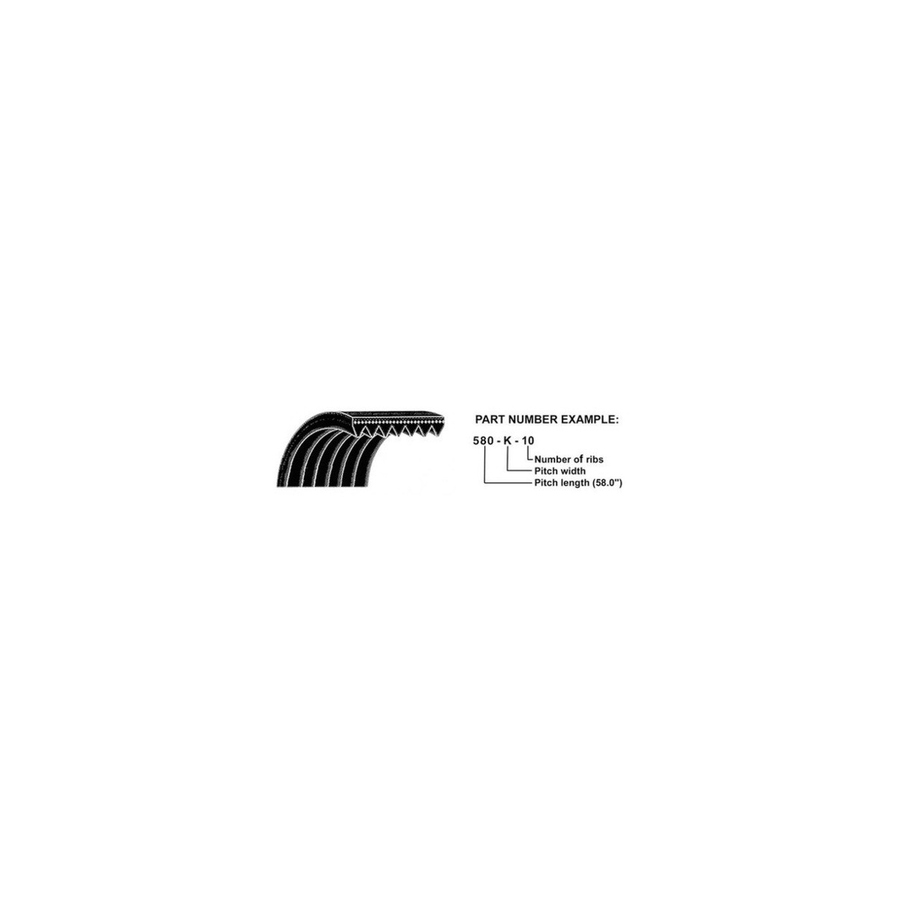 FVP ECONOMY BELT W/O A/C TO SUIT FORD Expedition 5.4L V8 (1997)